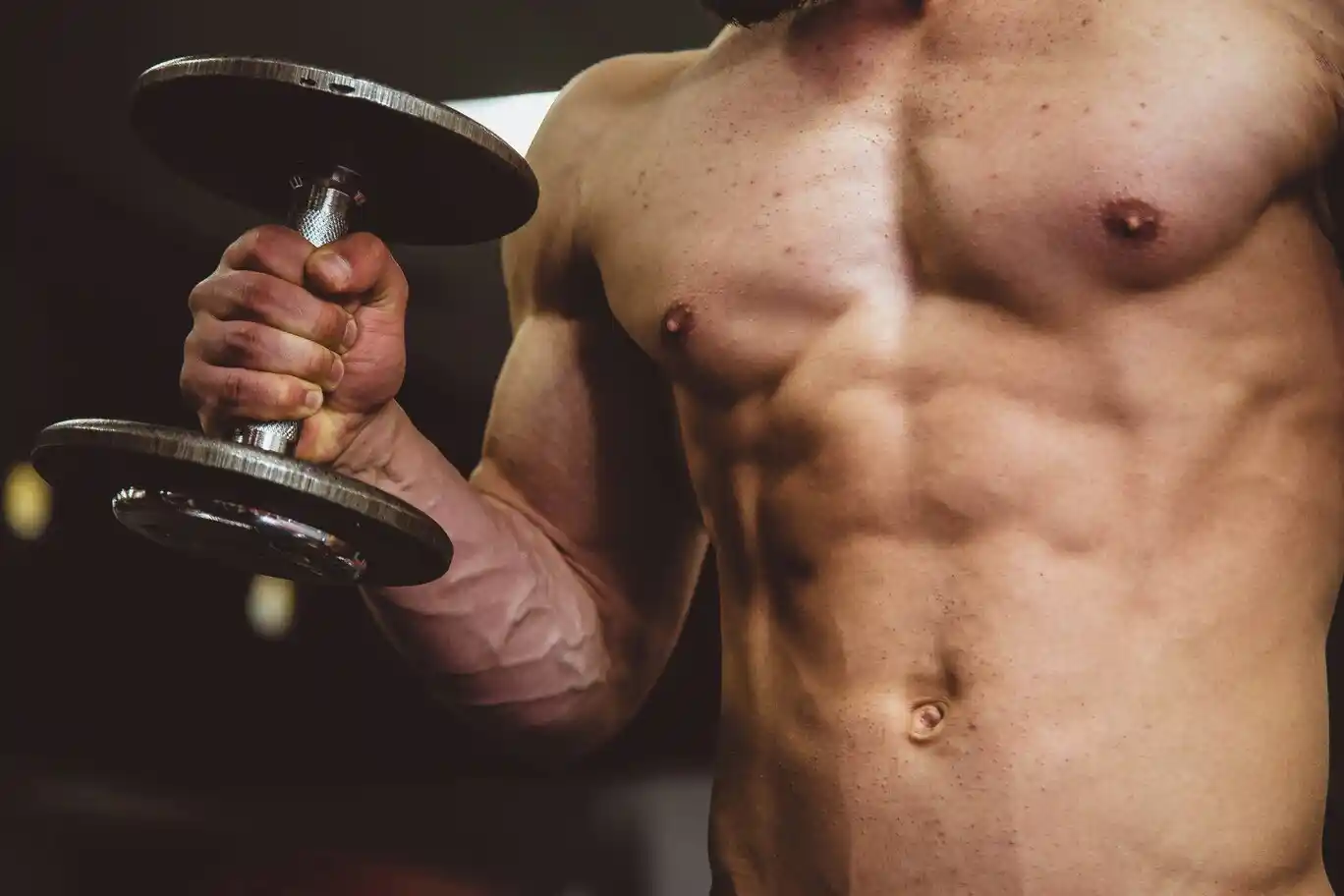 Muscular man holding a dumbbell, torso view