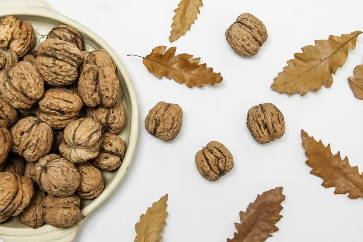 Walnuts and autumn leaves on white background